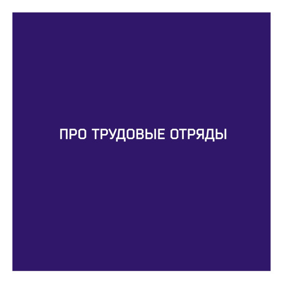 Трудовые отряды старшеклассников .